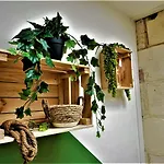 La Vigne Nature - Parking Gratuit - Proche Citadelle